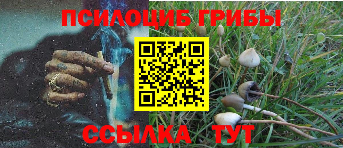 Псилоцибиновые грибы MAGIC MUSHROOMS Белгород