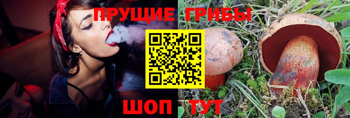 Псилоцибиновые грибы MAGIC MUSHROOMS  Вход с VPN  Белгород  Галлюциногенные грибы Psilocybe 